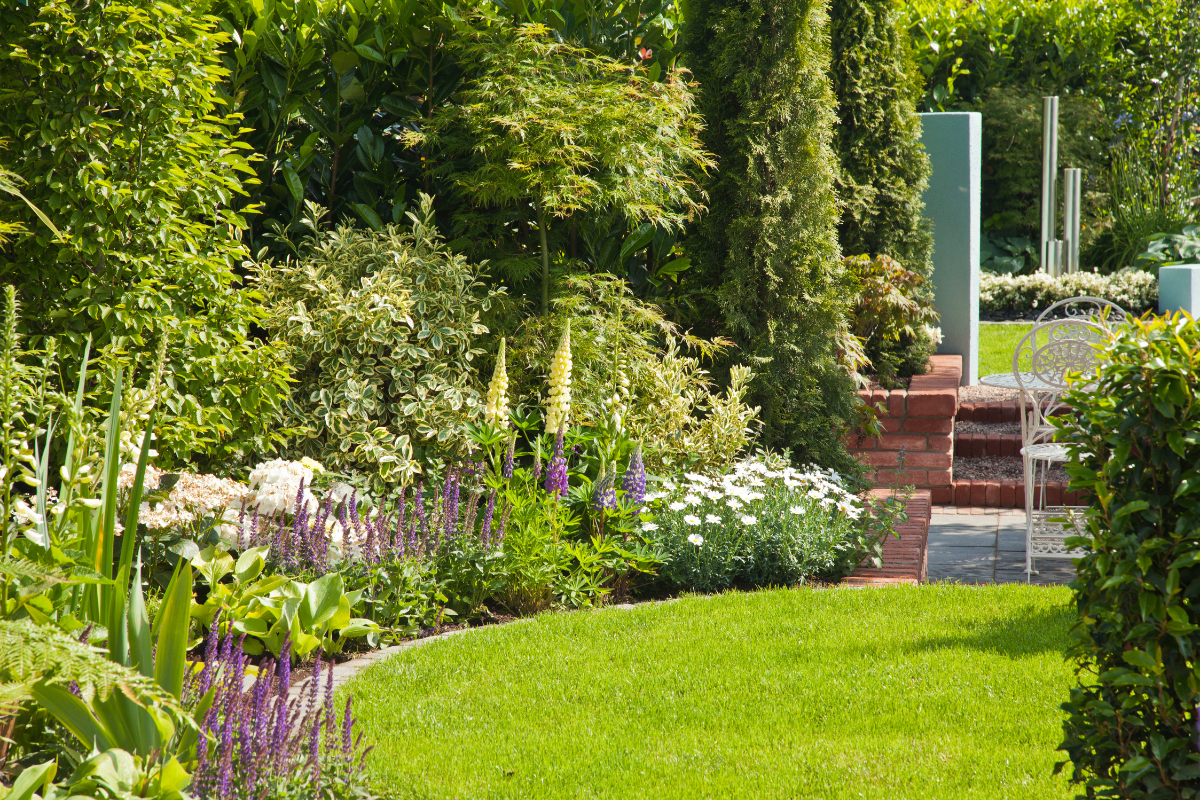 Eco-friendly Landscaping with lawn, indigenous plants and flowers and paving