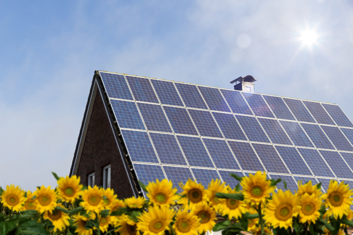 Financing Rooftop Solar - stock image from Canva of a house with a pitched roof of solar panels and sunflowers in the foreground