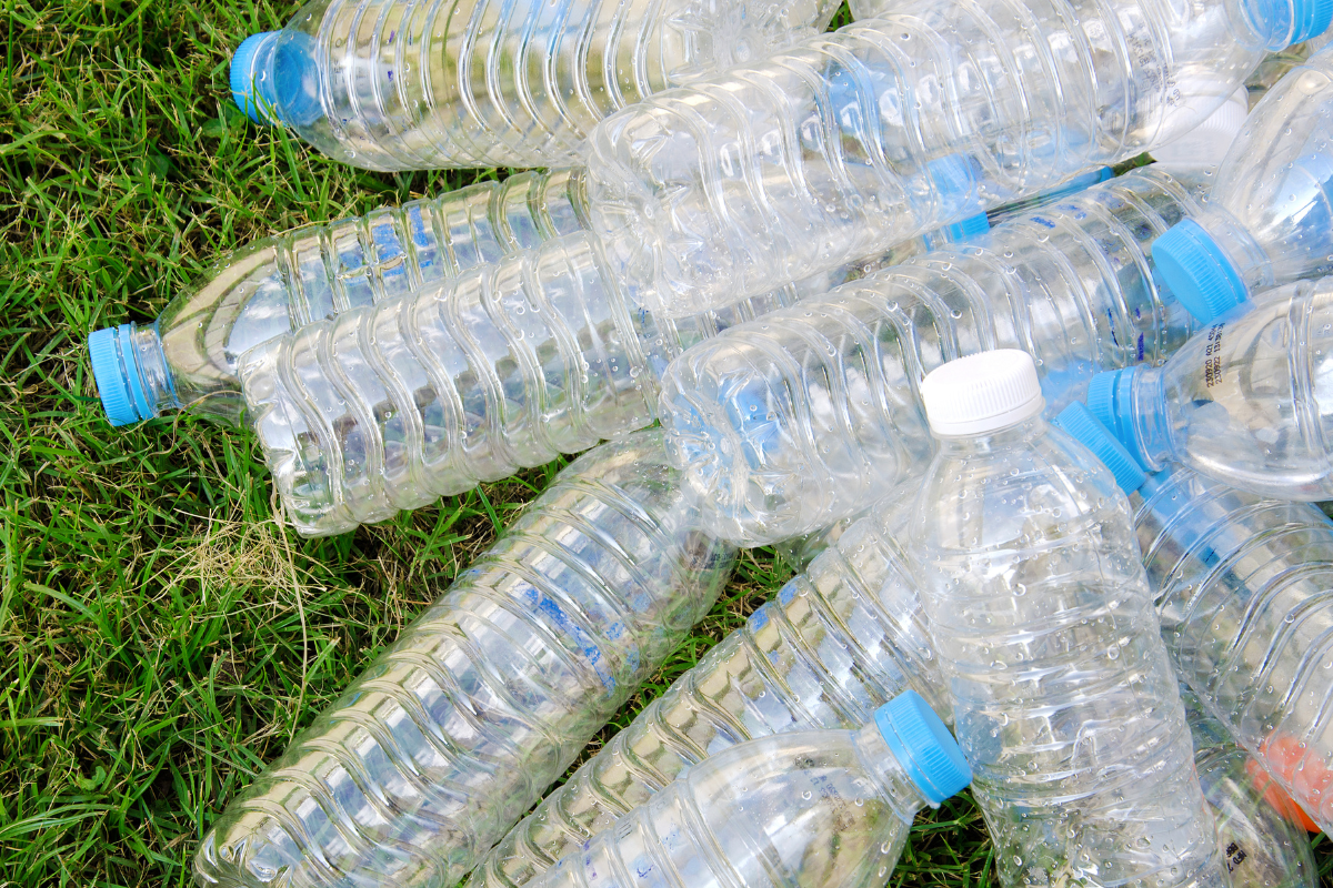 Eco-friendly Water Filters: Sustainable Choice for Your Home