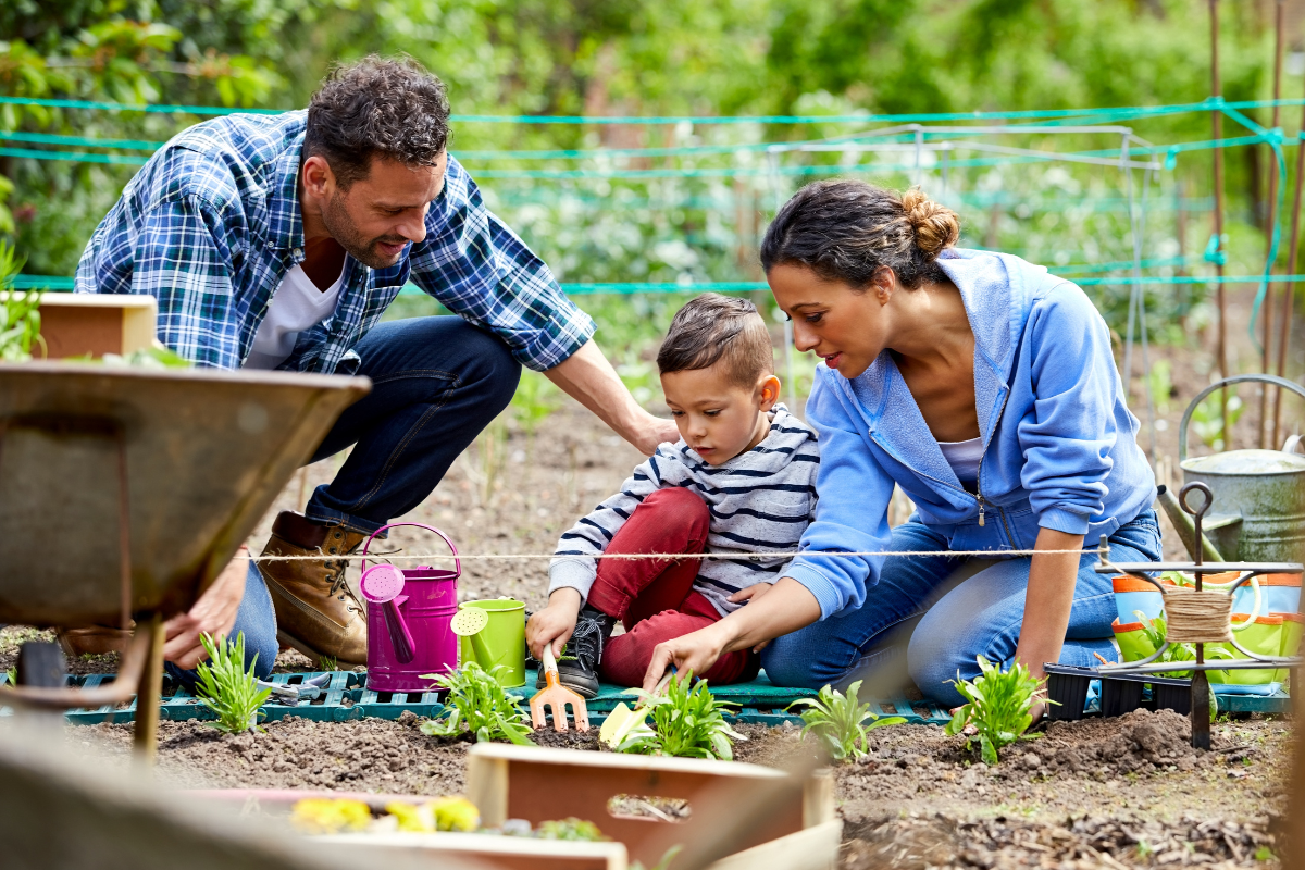 Sustainable Gardening - Stock Feature Image from Canva