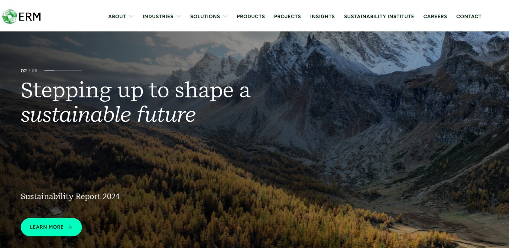 12 Best Climate Risk Consultants To Mitigate and Report Risk