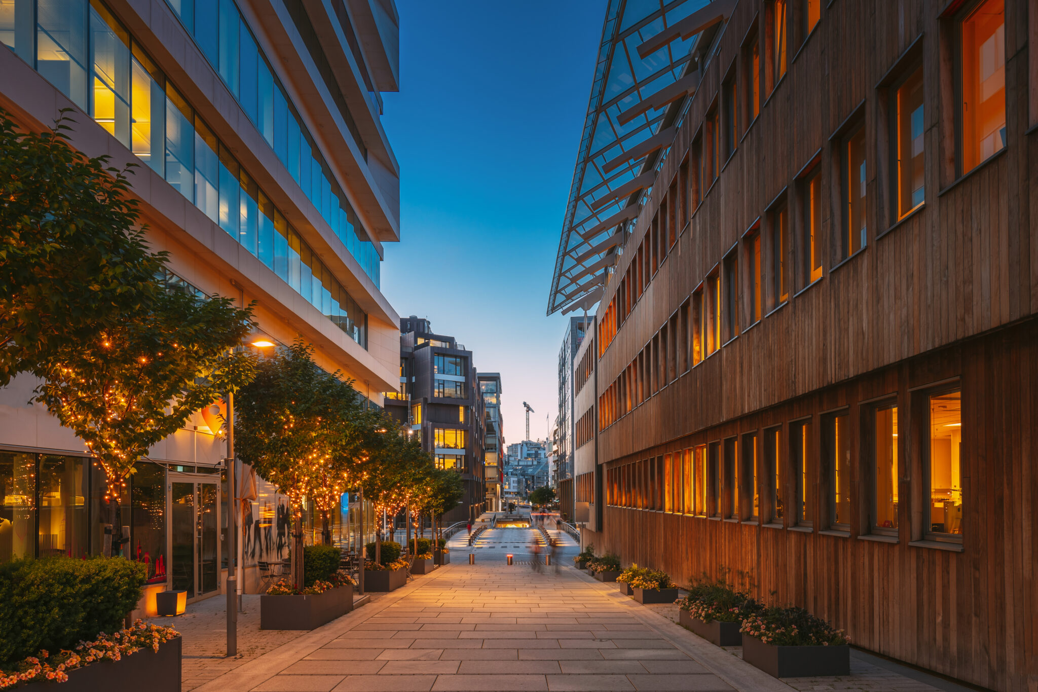 Beyond Green Labels: 8 Firms Designing Environmental Responsibility ...