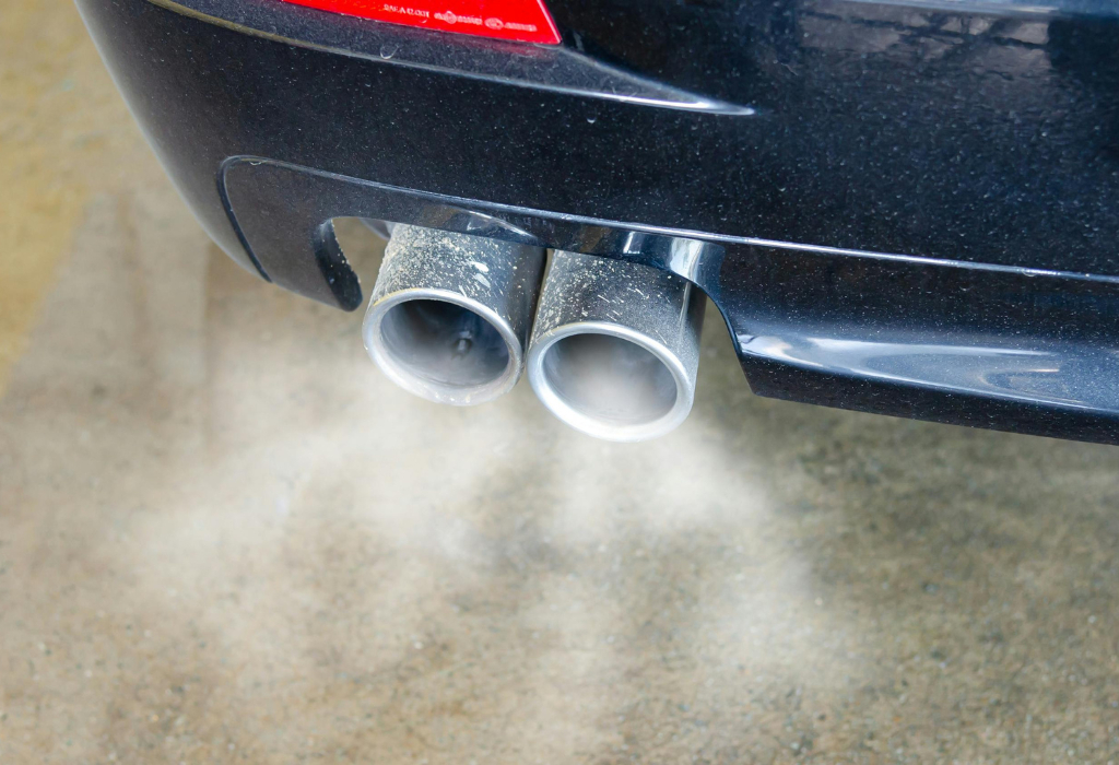 Carbon footprint