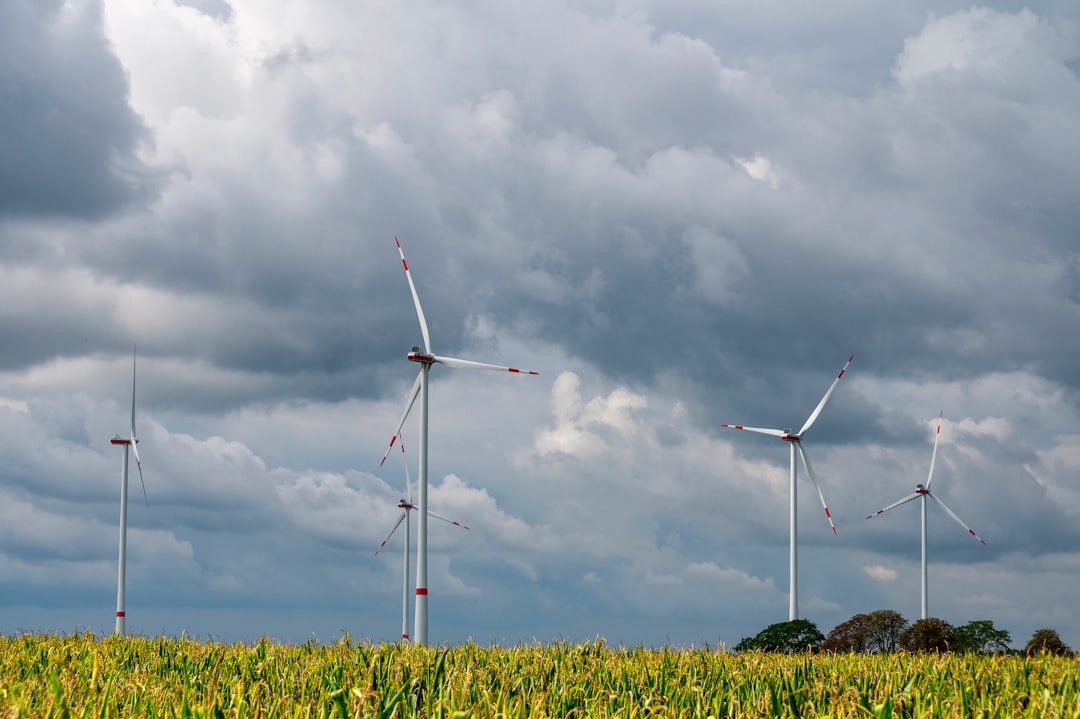 a group of wind turbines in a field