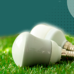 Climatesort Feature Image Sustainable Lighting Options